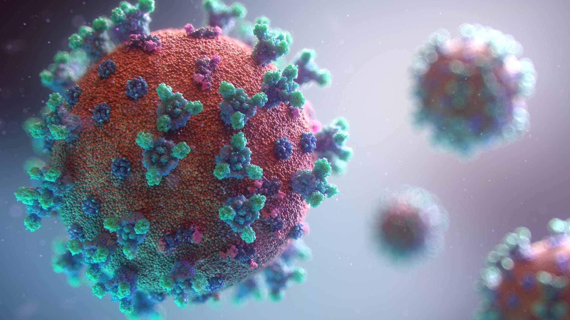 Virus News article
